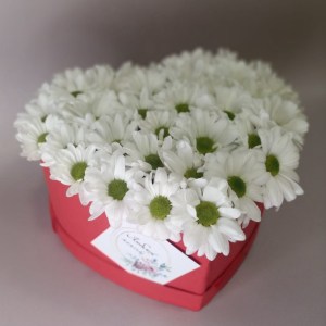 композиция 4